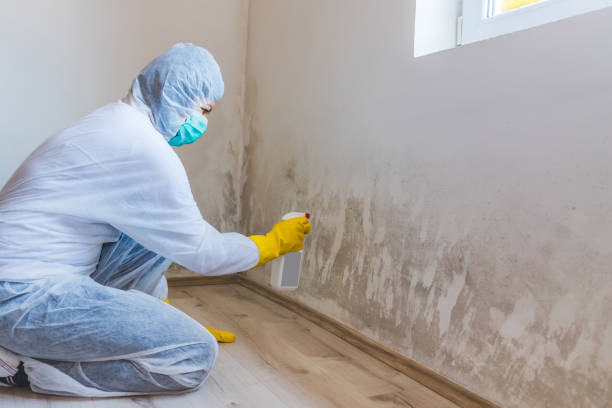 Best Mold Removal for HVAC Installations  in Mountain Park, GA