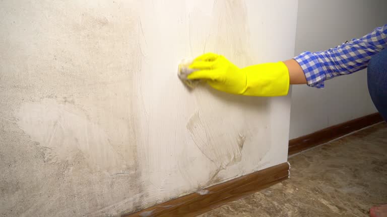 Mold Remediation for Rental Properties in Mountain Park, GA