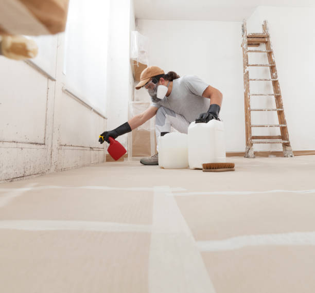 Best Commercial Mold Inspection  in Mountain Park, GA